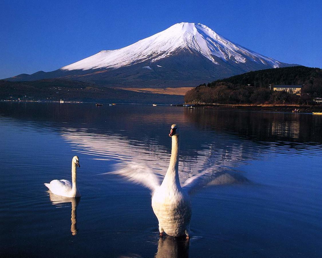 Resort Inn Golf Gotemba (Adults Only) Zewnętrze zdjęcie